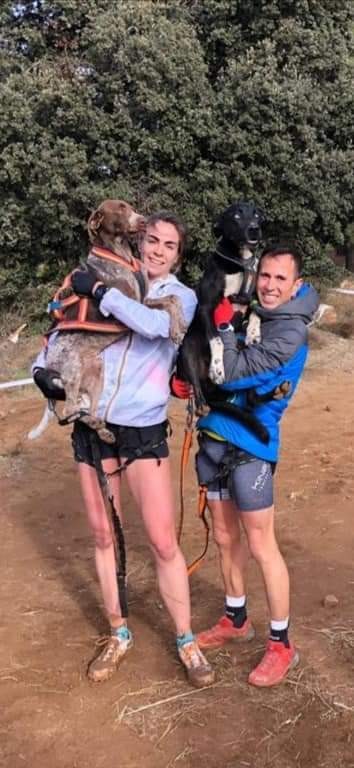 Tres podios navarros en el Campeonato de España de Mushing Tierra