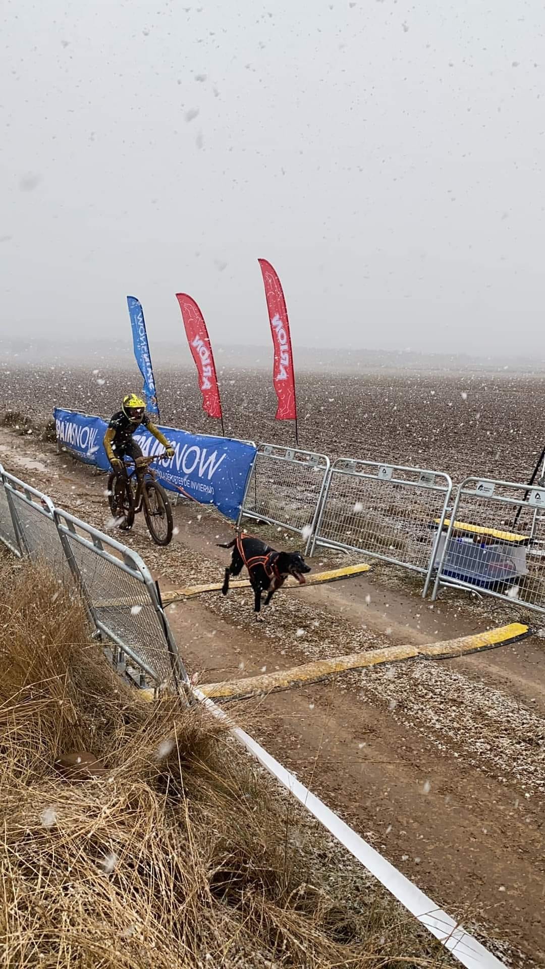 Tres podios navarros en el Campeonato de España de Mushing Tierra