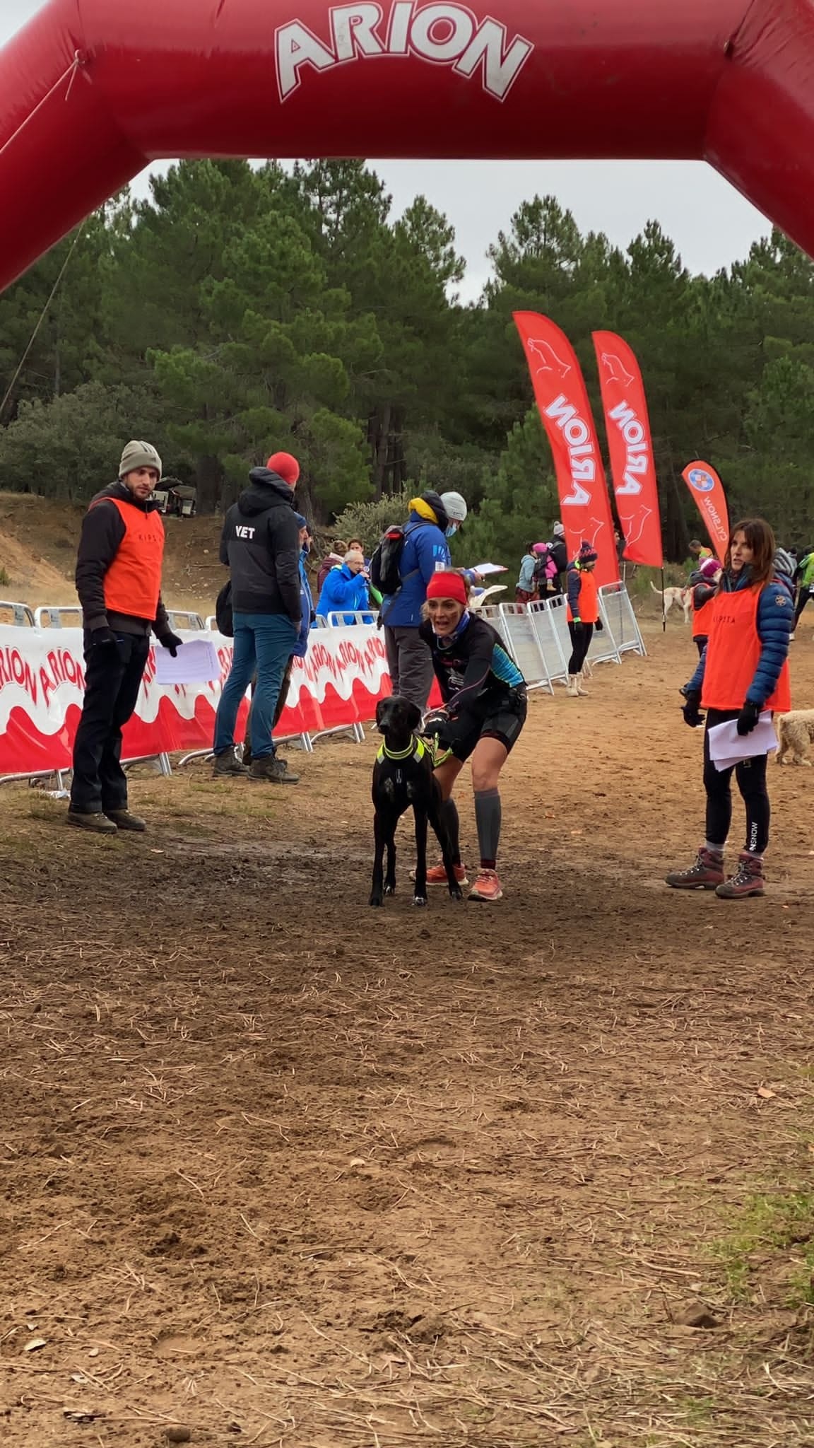Tres podios navarros en el Campeonato de España de Mushing Tierra