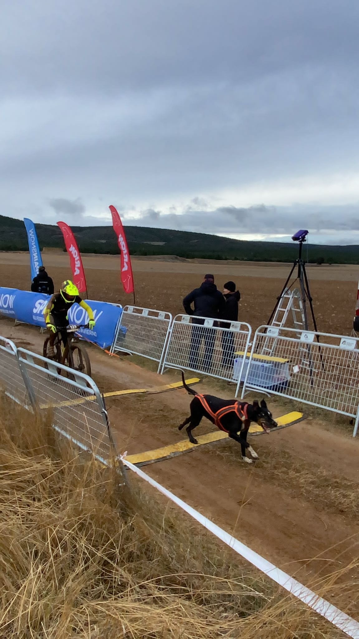 Tres podios navarros en el Campeonato de España de Mushing Tierra