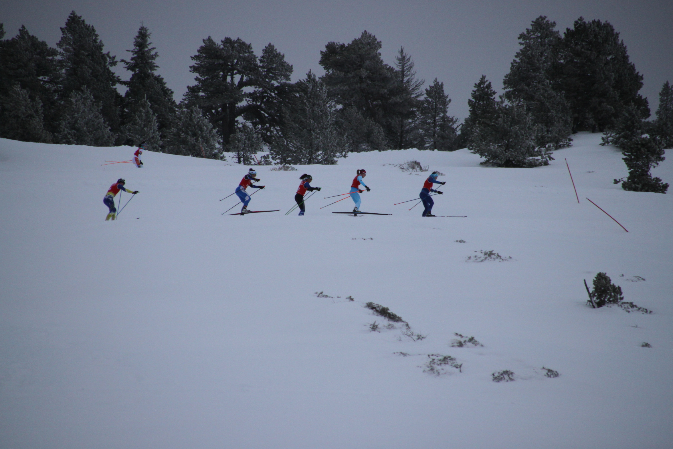 La pandemia y la ventisca no paran los Campeonatos de Navarra de esquí de fondo 2021