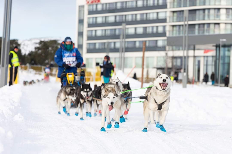 Infierno de hielo para Baltasar Gallardo