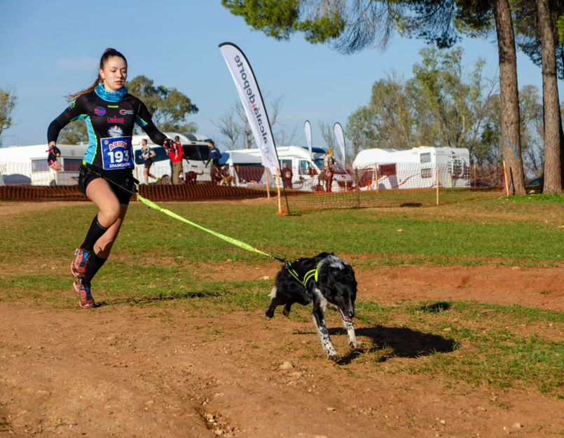Mundial de Mushing Tierra en Olvega (Soria)