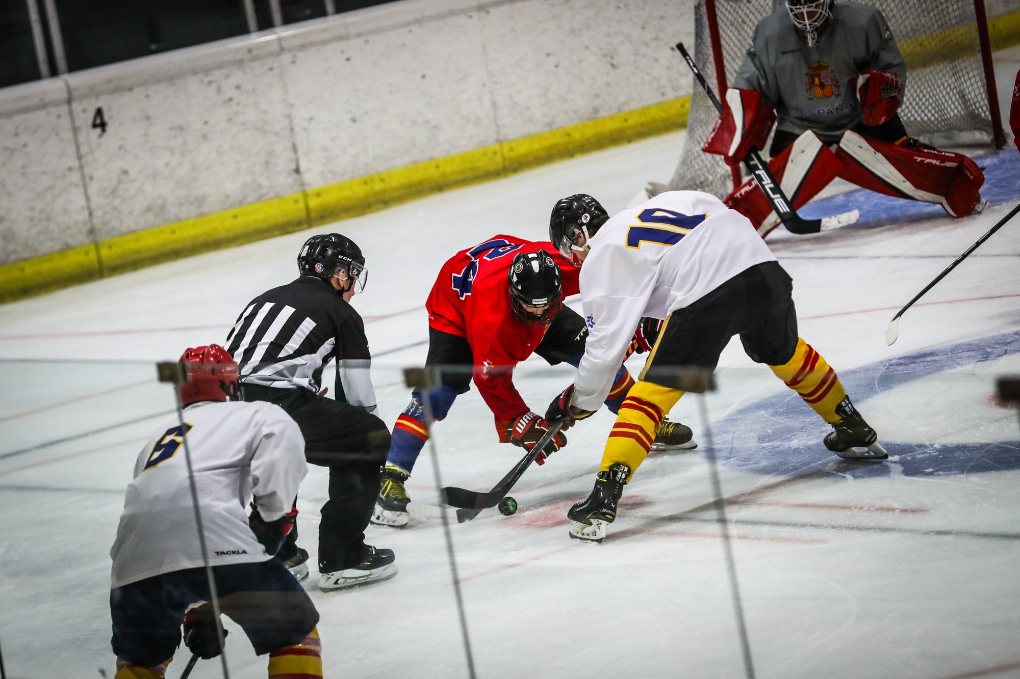 Navarra, paso previo para el Mundial