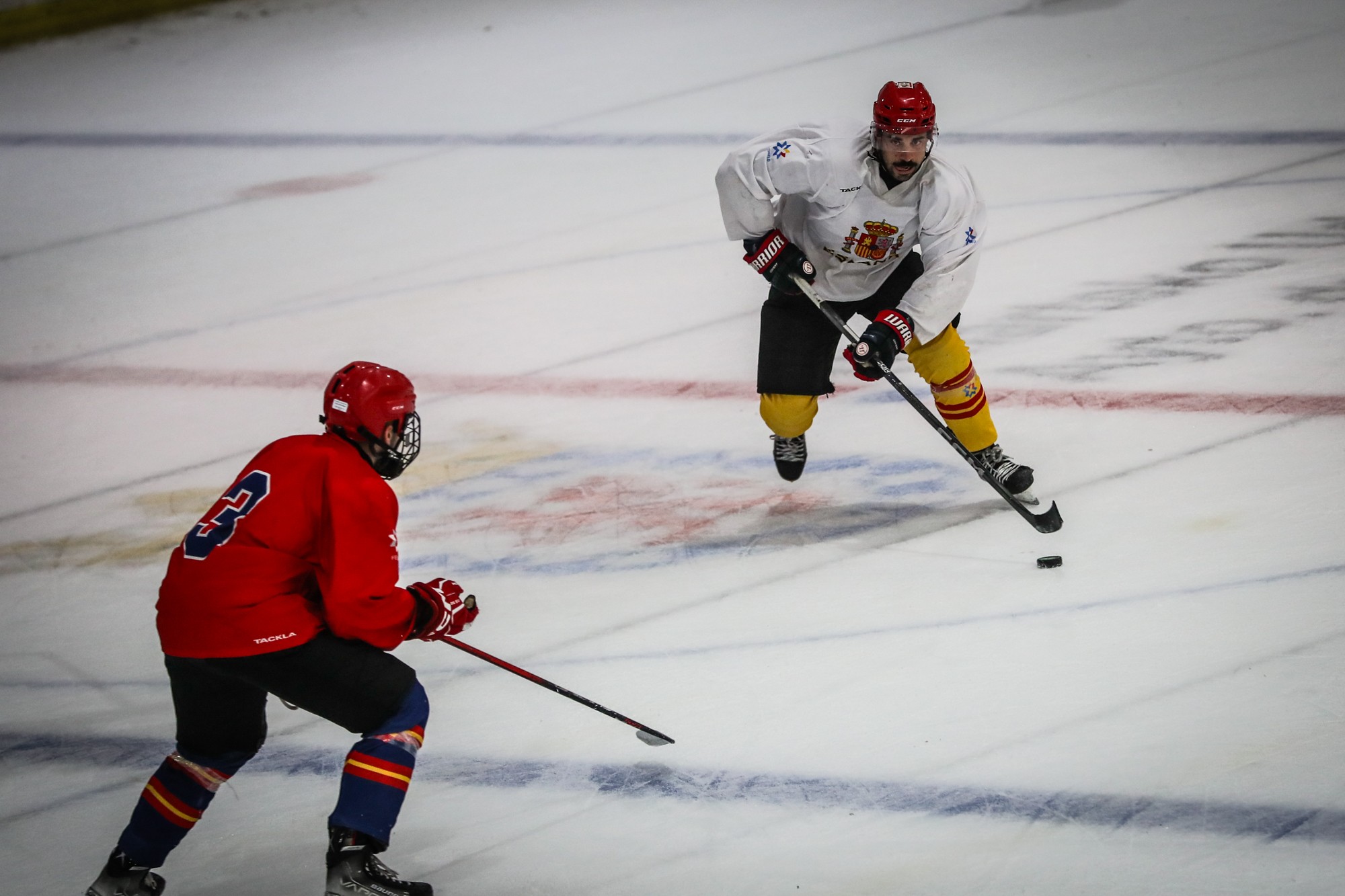 Navarra, paso previo para el Mundial