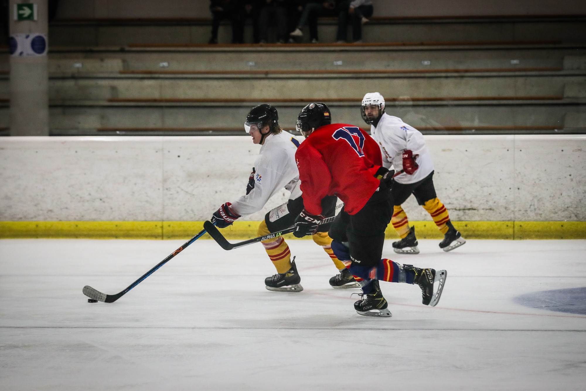 Navarra, paso previo para el Mundial