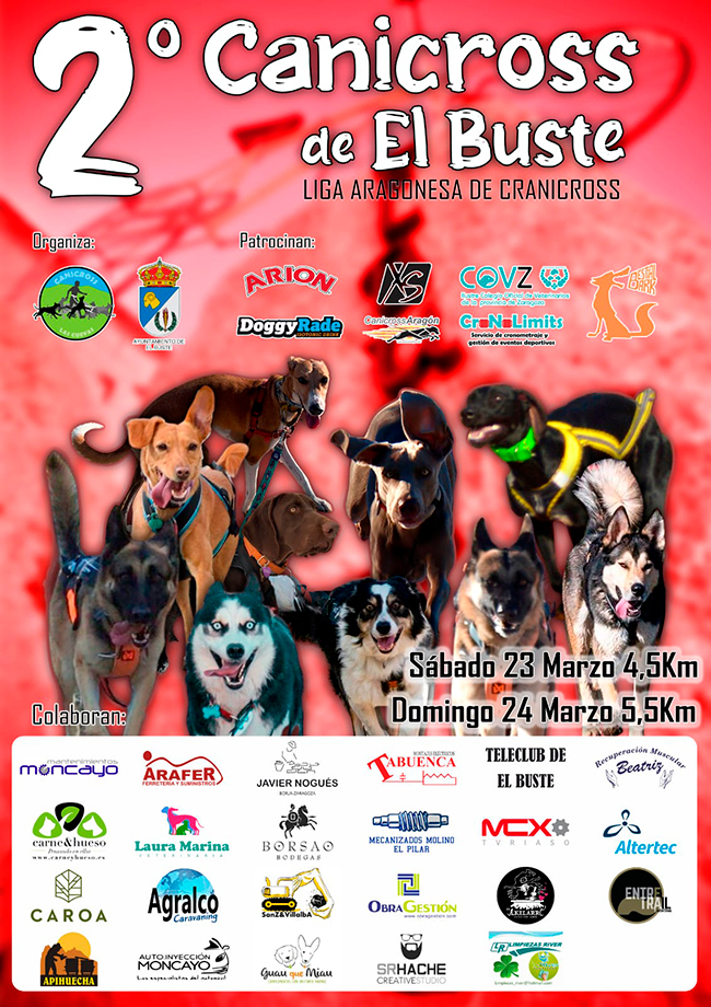 II Edici&oacute;n del Canicross El Buste