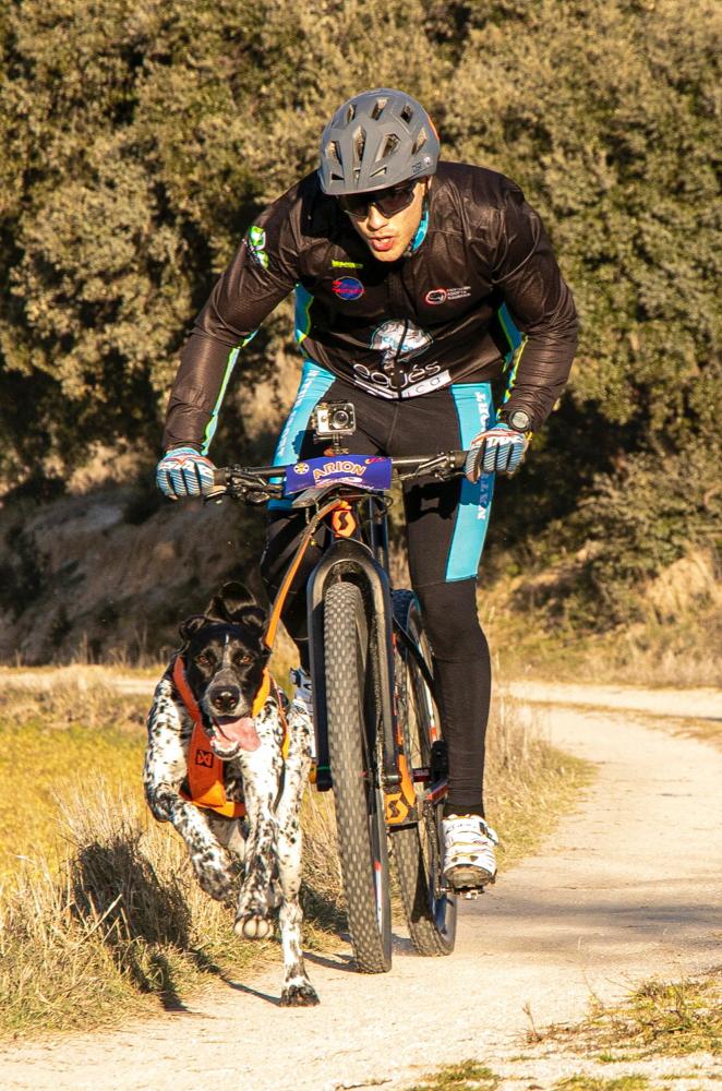 Mundial de Mushing Tierra en Olvega (Soria)