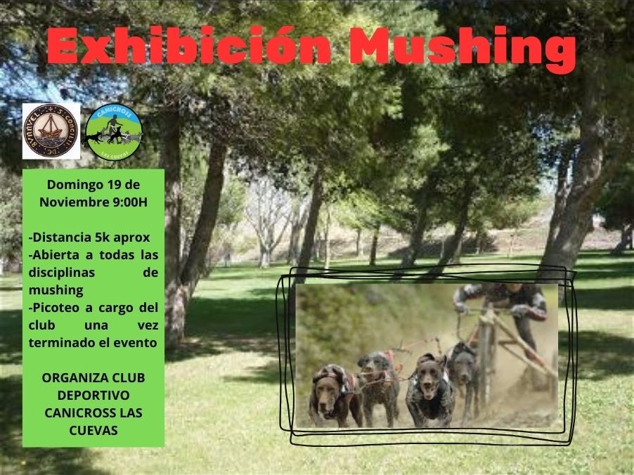 EXHIBICI&Oacute;N MUSHING TIERRA - CLUB MUSHING LAS CUEVAS
