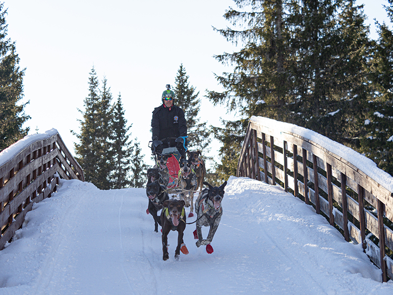 Javier Alemanno satisfecho de su participaci&oacute;n en el Campeonato del Mundo de Mushing