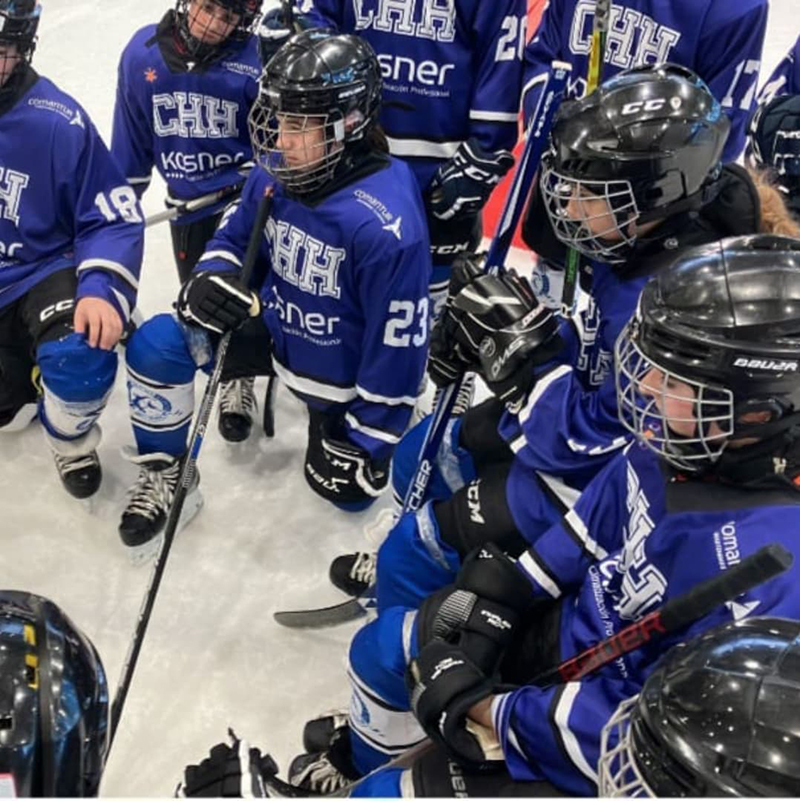 Repaso a las ligas de Hockey sobre Hielo