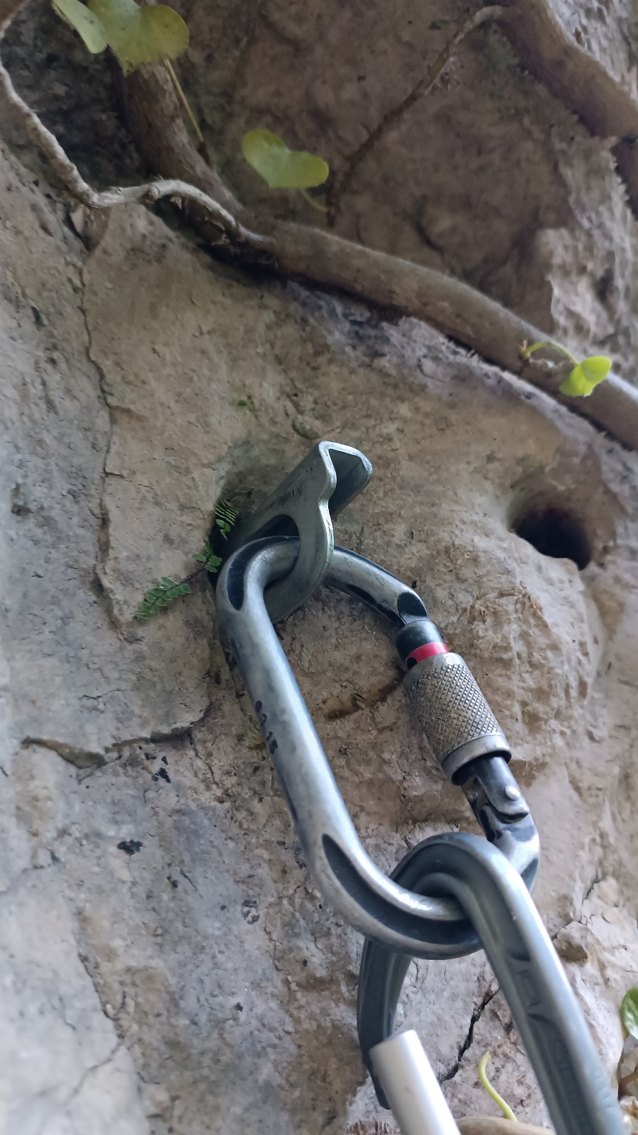 Celebrado el curso de escalada artificial aplicada a la espeleología