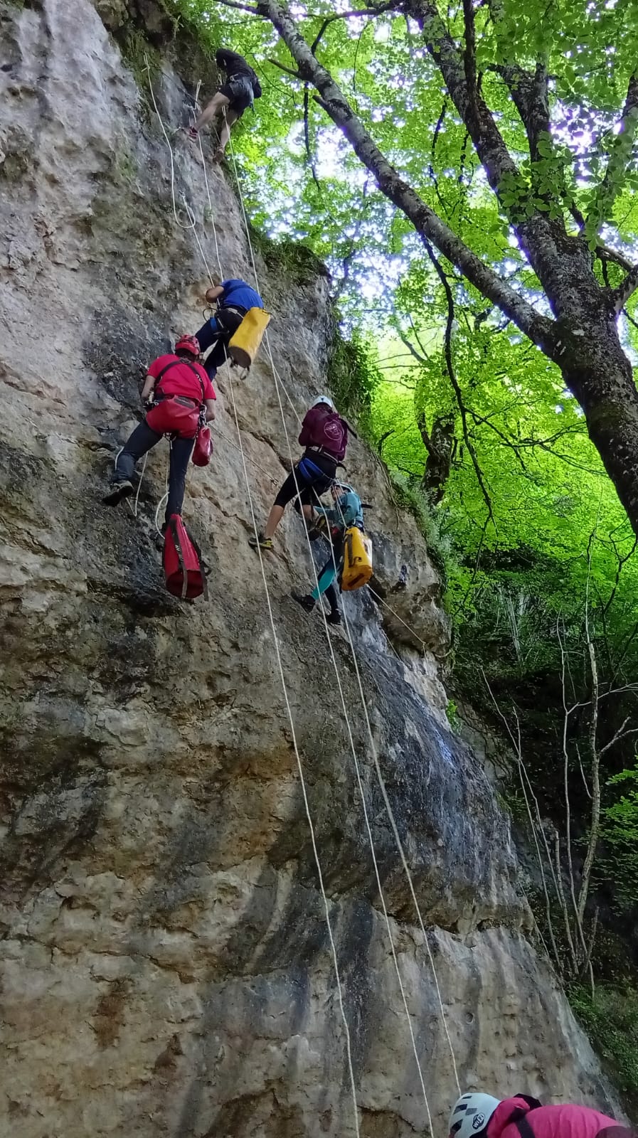 Celebrado el Curso de instalación y equipación de cavidades