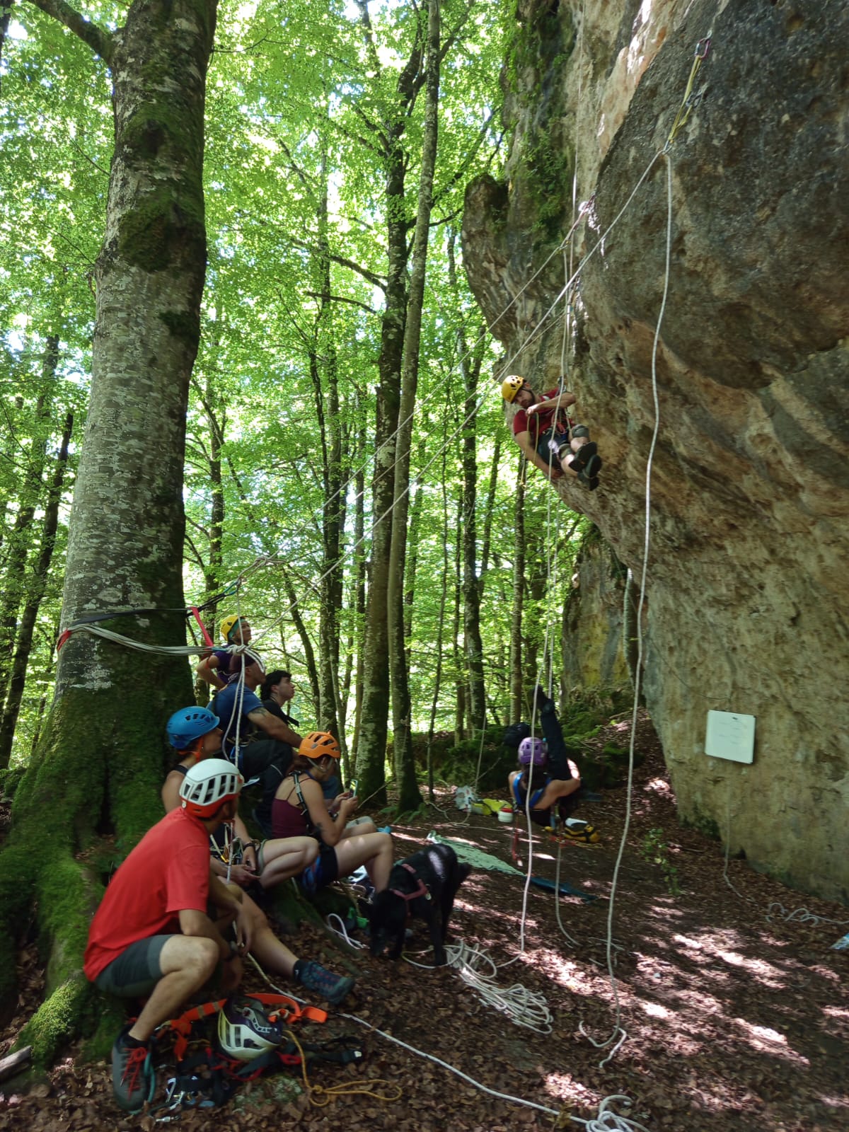 Finalizada la formación de perfeccionamiento en espeleología