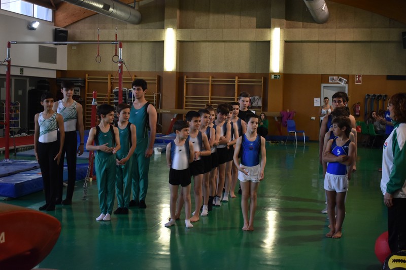 Ardoi acogi&oacute; el Campeonato Navarro de Art&iacute;stica Masculina