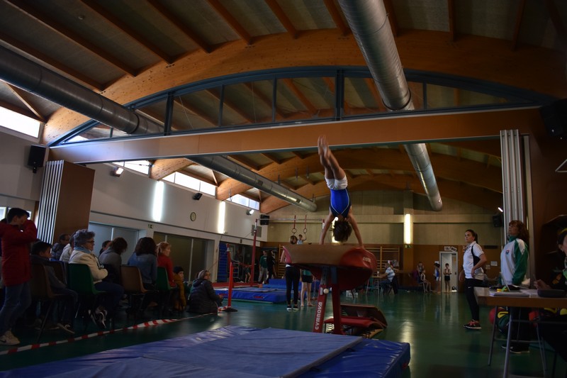 Ardoi acogió el Campeonato Navarro de Artística Masculina