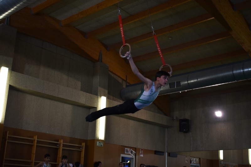 Ardoi acogió el Campeonato Navarro de Artística Masculina