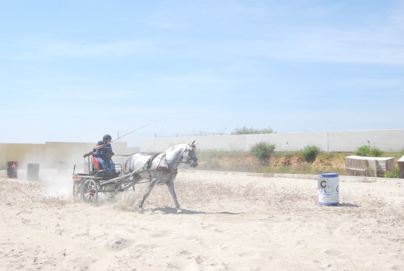 Espectacular Primera Fase del Campeonato Navarro de Enganches.