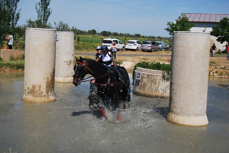 Espectacular Primera Fase del Campeonato Navarro de Enganches.