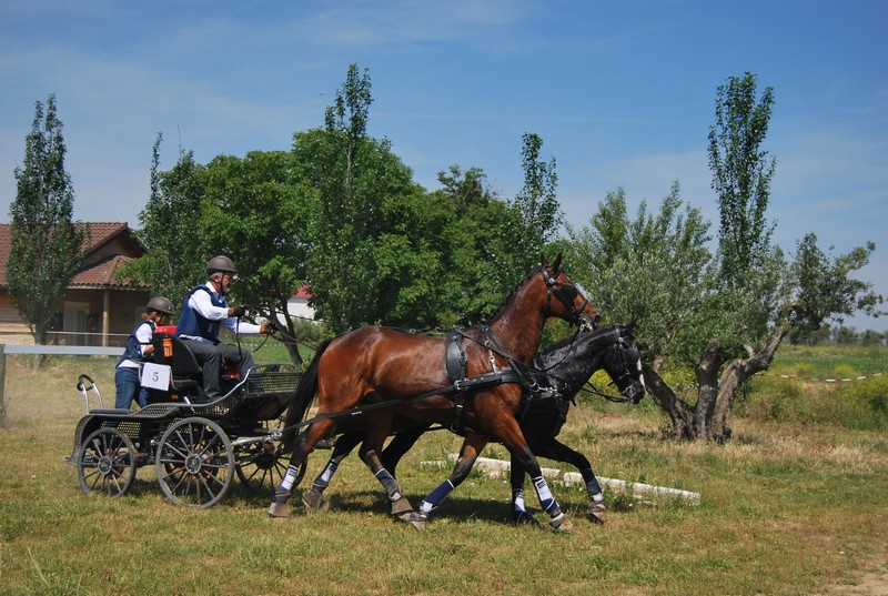 Espectacular Primera Fase del Campeonato Navarro de Enganches.