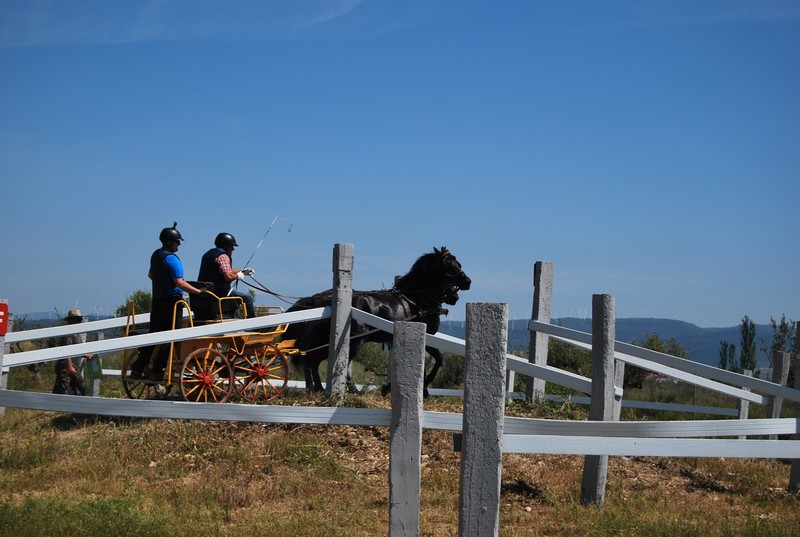 &Aacute;lbum de Fotos del Campeonato Navarro de Enganches