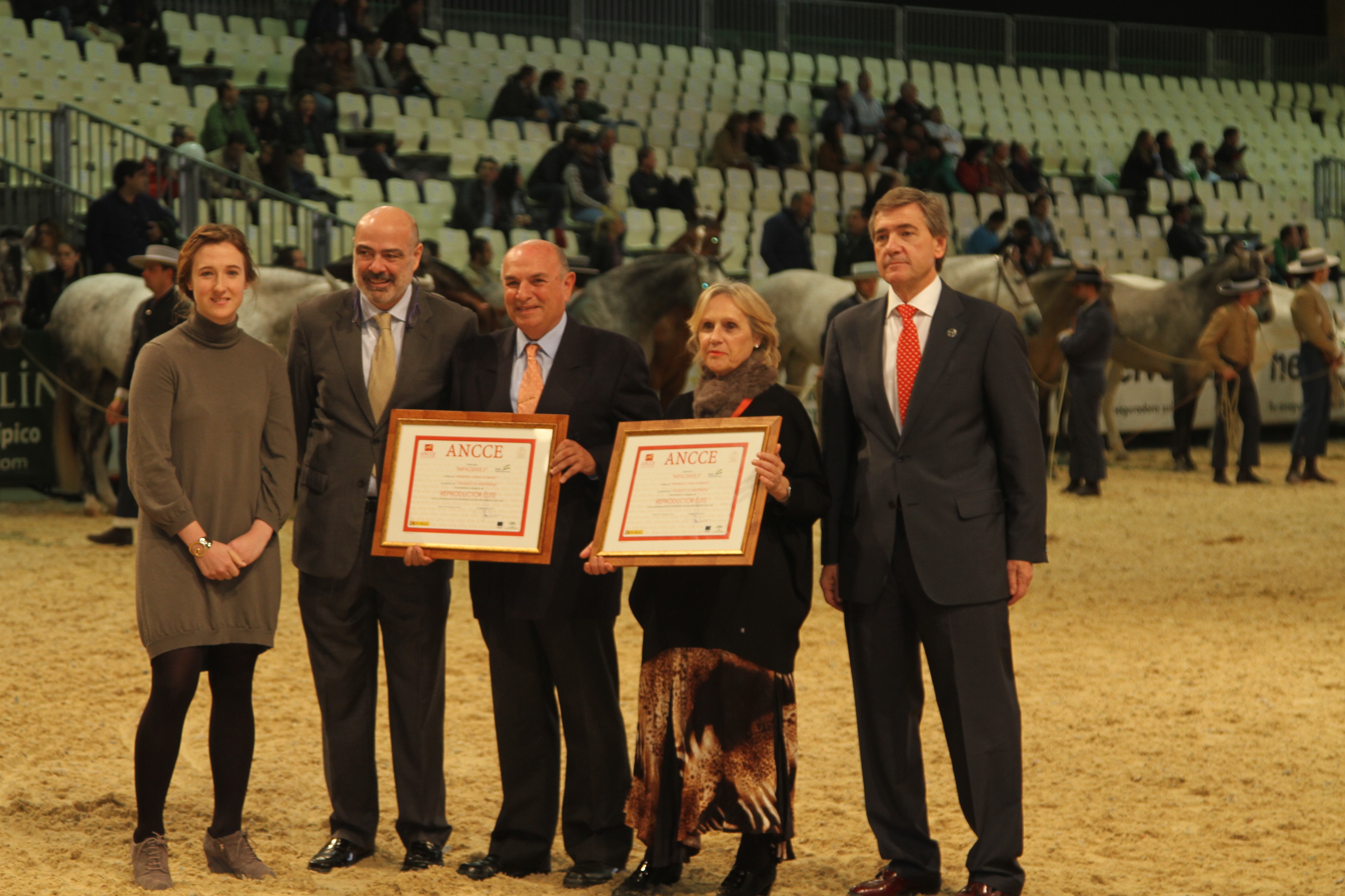 Impaciente II obtiene la categor&iacute;a Reproductor de &eacute;lite