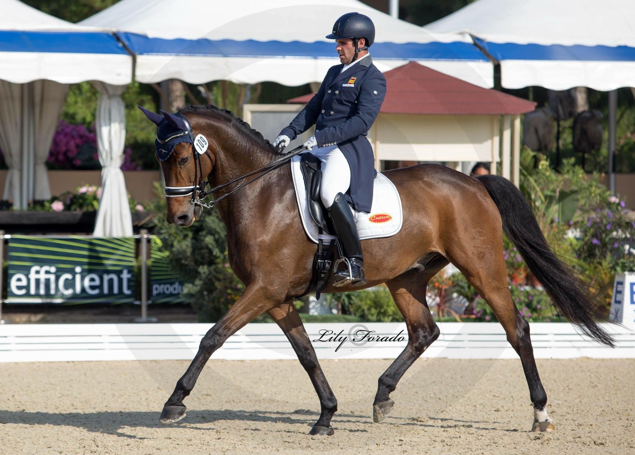 Quinto puesto para Antonio Laiz Zandio en el CDI5* de Es Fangar (Mallorca)