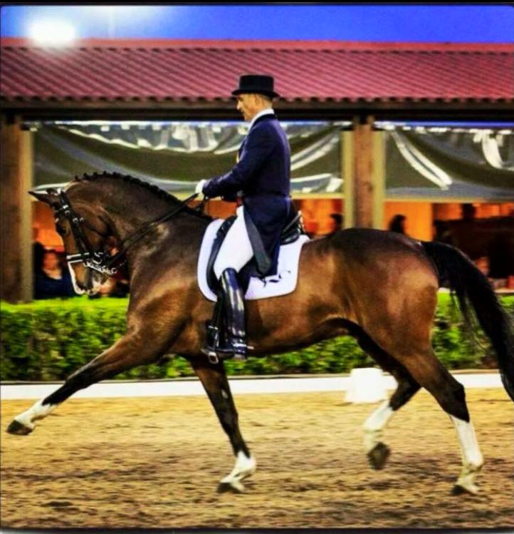 Clinic Doma Cl&aacute;sica con Jose Manuel Lucena Estrada en el Centro Ecuestre el Trisquel