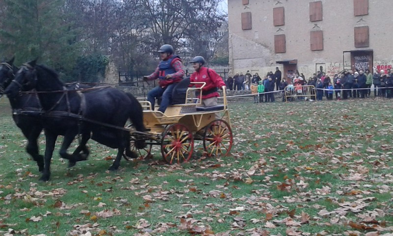 Exhibición Ecuestre del Equipo Navarro de Enganches en Estella. Feria de San Andrés