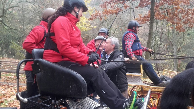 Exhibición Ecuestre del Equipo Navarro de Enganches en Estella. Feria de San Andrés