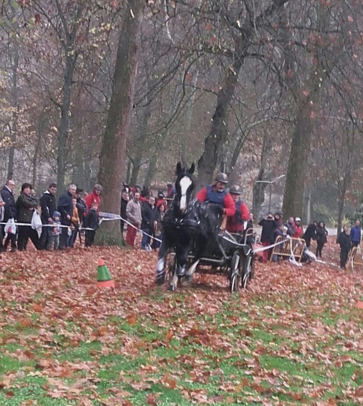 Exhibición Ecuestre del Equipo Navarro de Enganches en Estella. Feria de San Andrés
