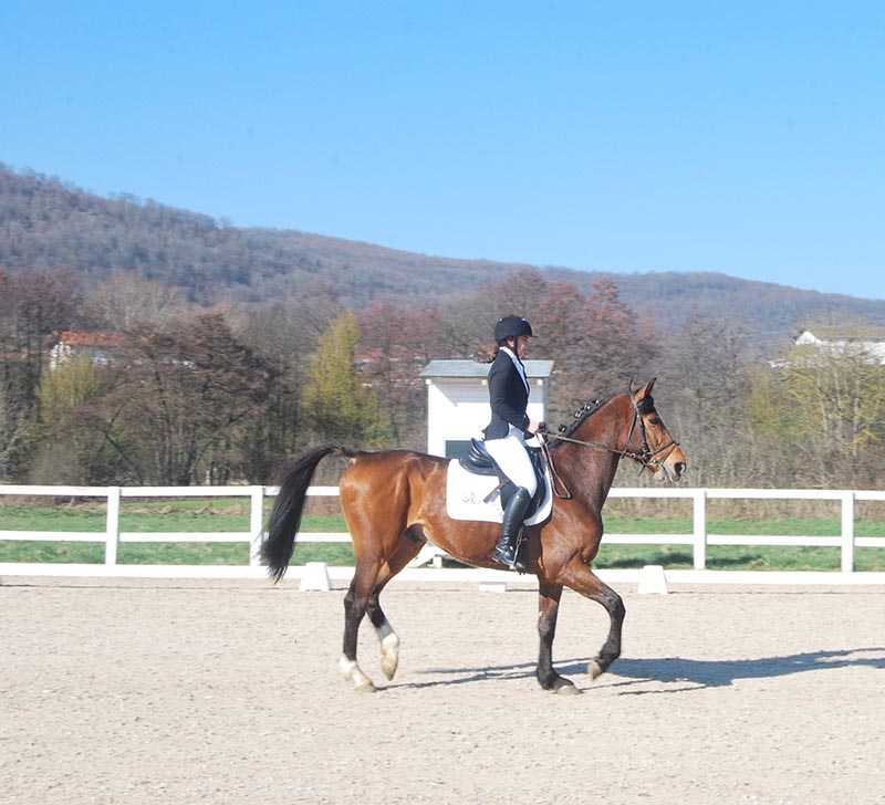 Orden de salida Fase Final de Doma Cl&aacute;sica, Paraecuestre y JJDD 2018