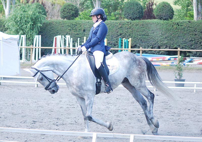 Resultados de la 2&ordf; fase y Final del Campeonato Navarro de Doma Cl&aacute;sica-JJDD 2018 en los niveles ponis Debutantes y Promoci&oacute;n