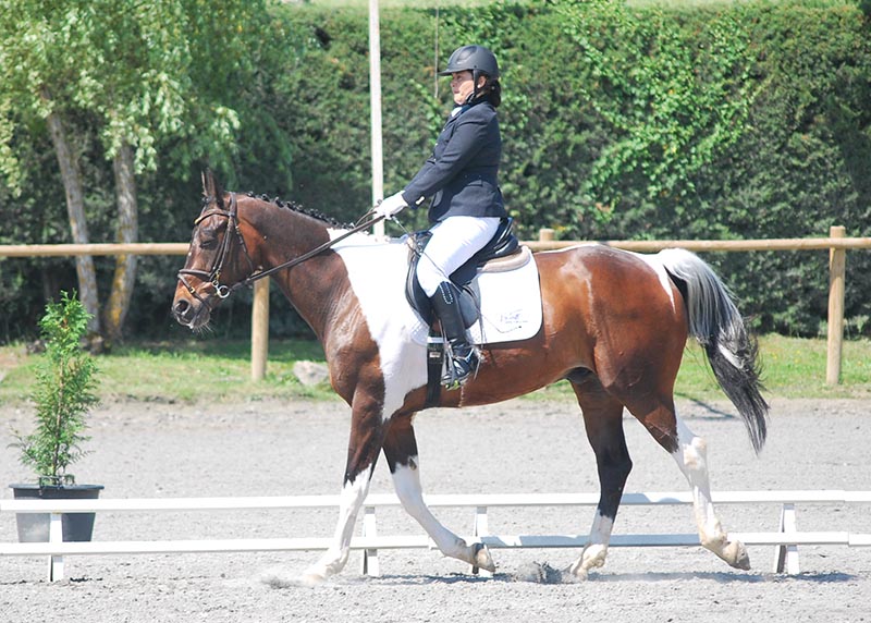 Resultados de la 2ª fase y Final del Campeonato Navarro de Doma Clásica-JJDD 2018 en los niveles ponis Debutantes y Promoción