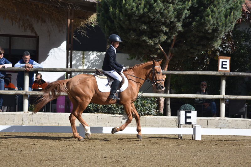 A&ntilde;&eacute;zcar acogi&oacute; la Primera Fase de JDN de Debutantes y Promoci&oacute;n