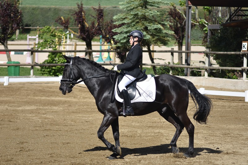 Añézcar acogió la Primera Fase de JDN de Debutantes y Promoción