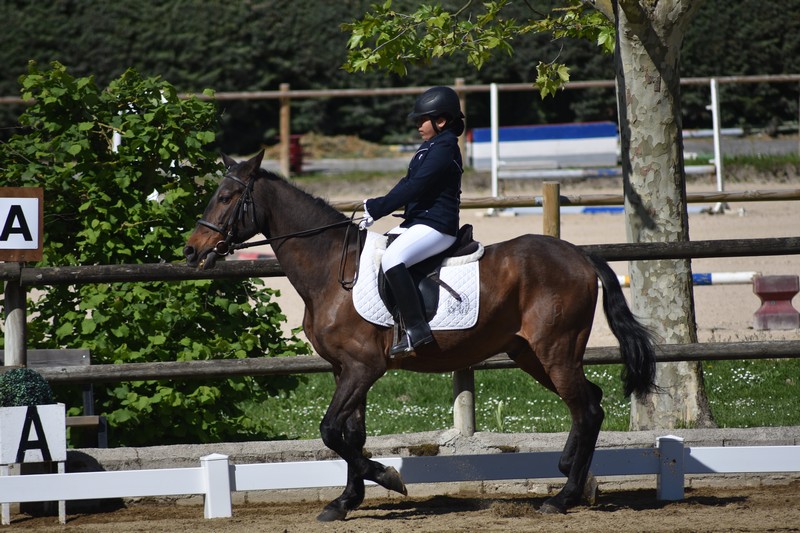 Añézcar acogió la Primera Fase de JDN de Debutantes y Promoción