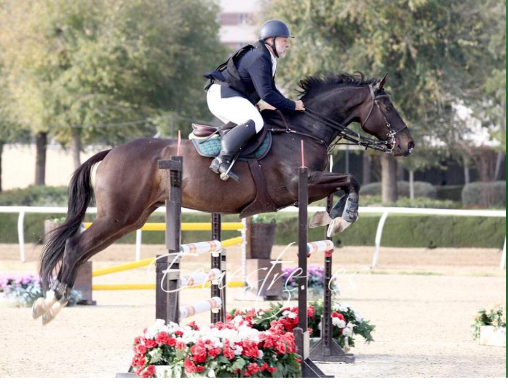CUATRO JINETES NAVARROS PARTICIPAN EN EL CAMPEONATO DE ESPAÑA ABSOLUTO DE SALTOS 2020