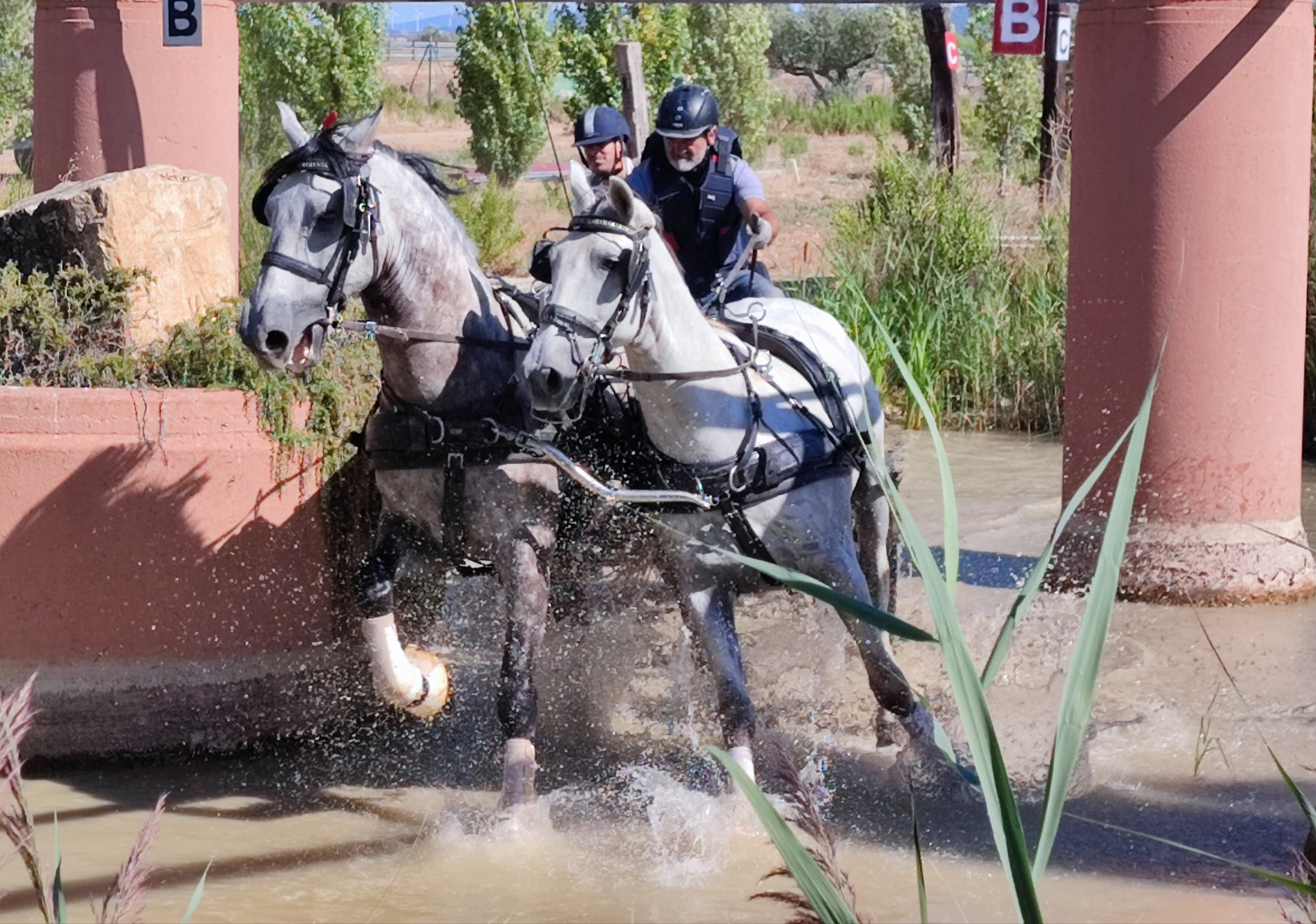 Resultados 4&ordf; Fase Campeonato Navarro Enganches