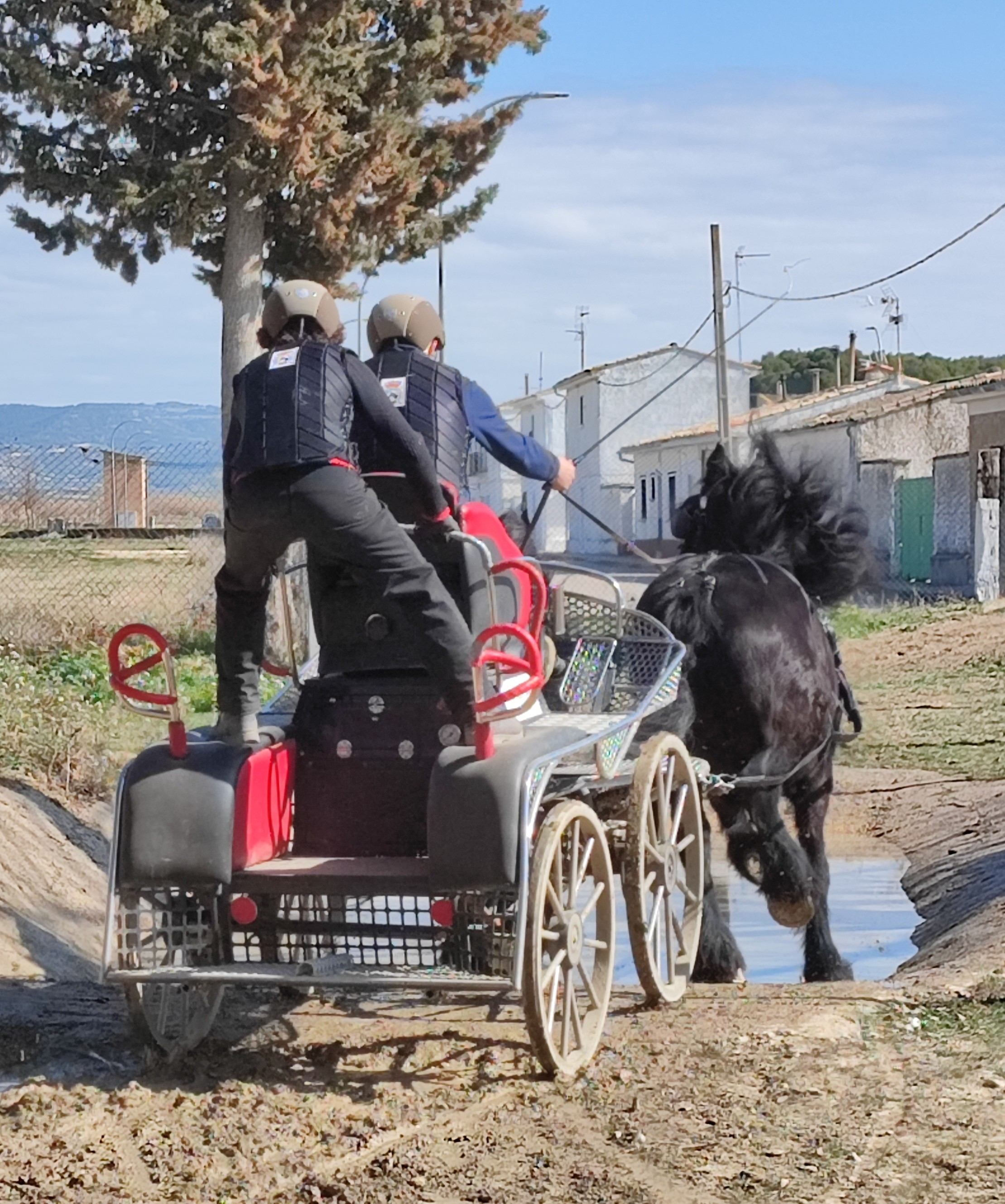 Figarol acogió la Primera Fase del Campeonato Navarro de Enganches