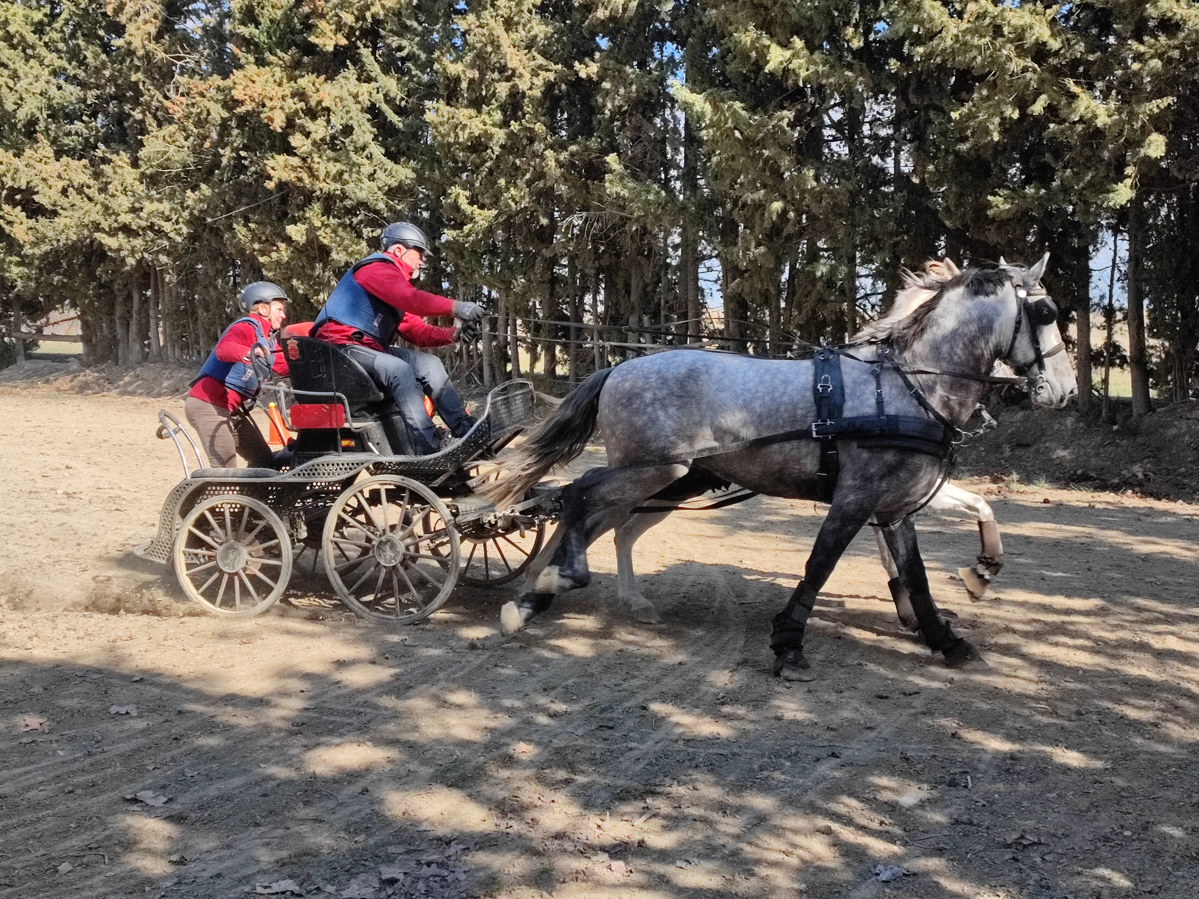 Figarol acogió la Primera Fase del Campeonato Navarro de Enganches