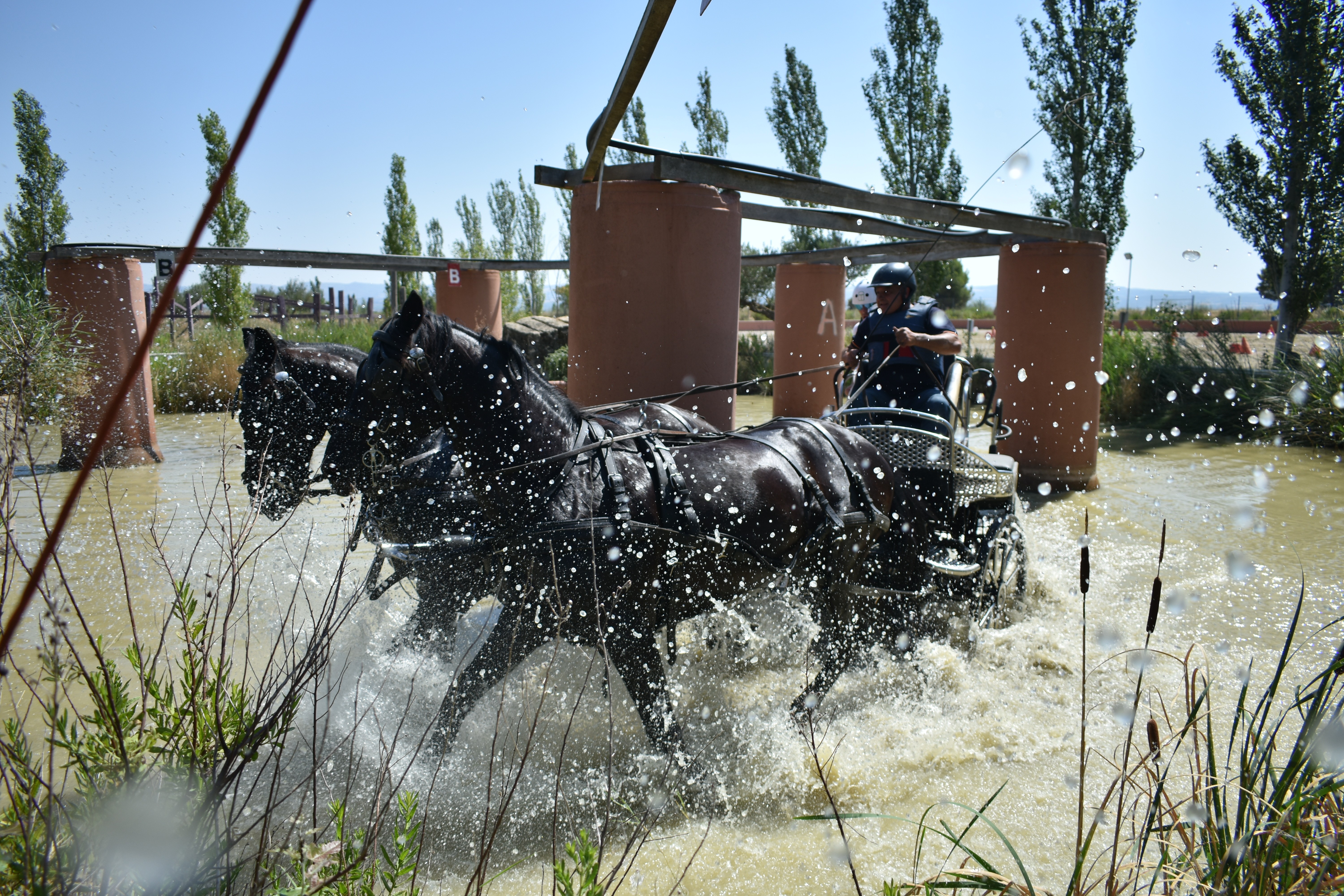 Olite acogió la Tercera Fase del Campeonato Navarro de Enganches