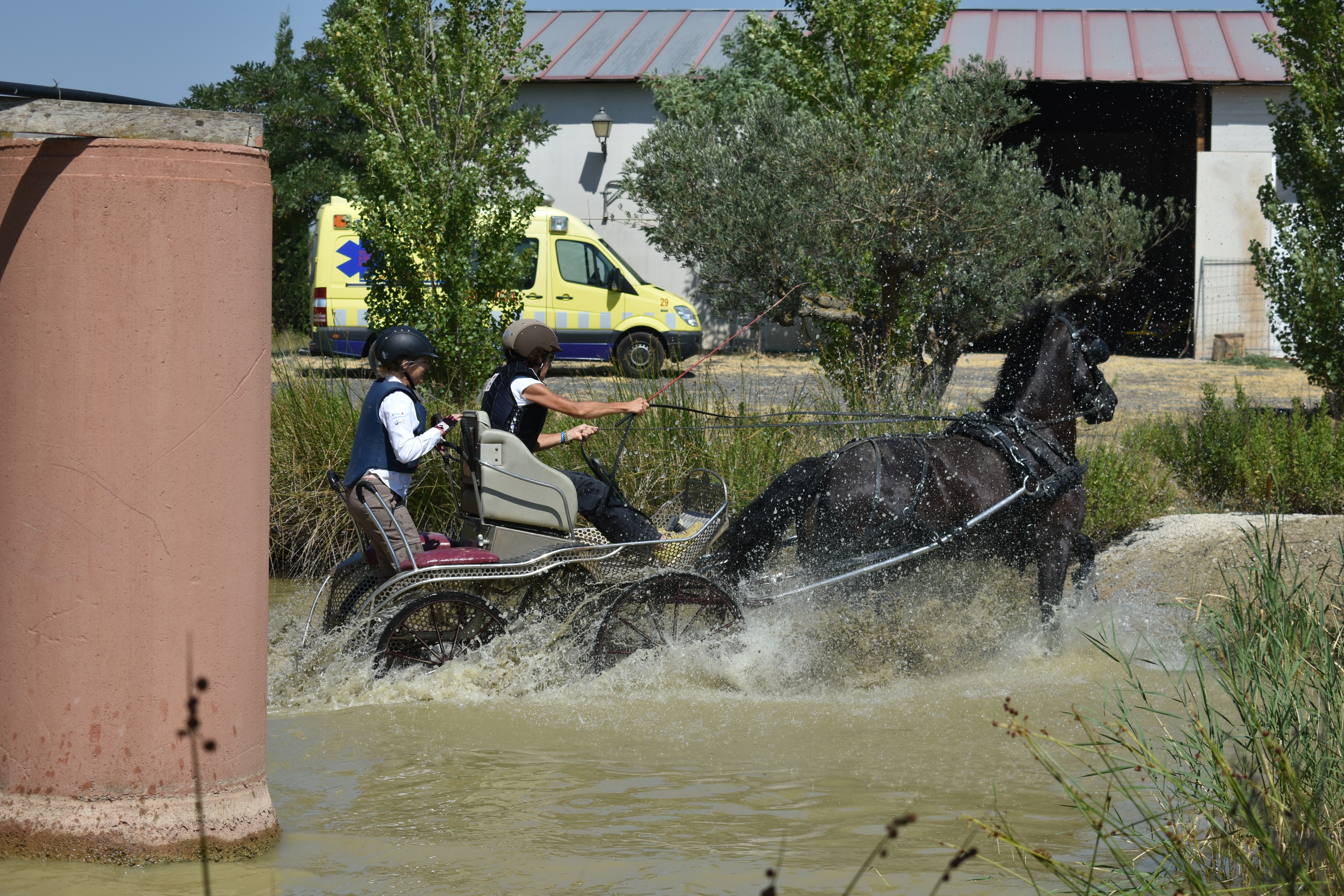 Olite acogió la Tercera Fase del Campeonato Navarro de Enganches