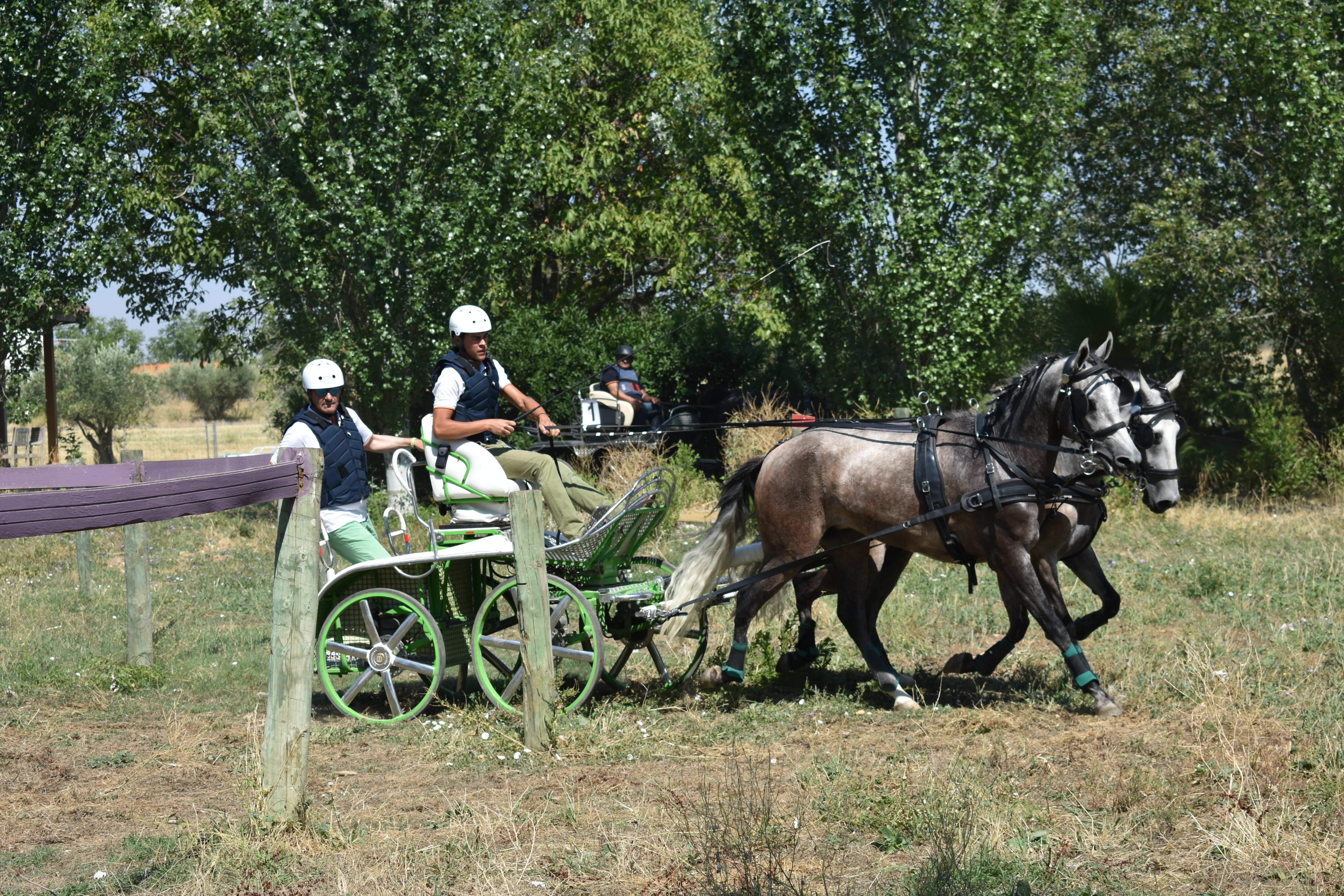 Olite acogi&oacute; la Tercera Fase del Campeonato Navarro de Enganches