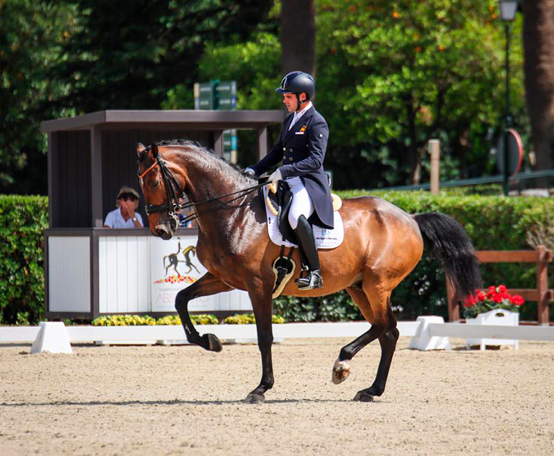 Antonio Laiz Zandio segundo en la Freestyle Gran Premio del CDI3* de Crozet, en Francia