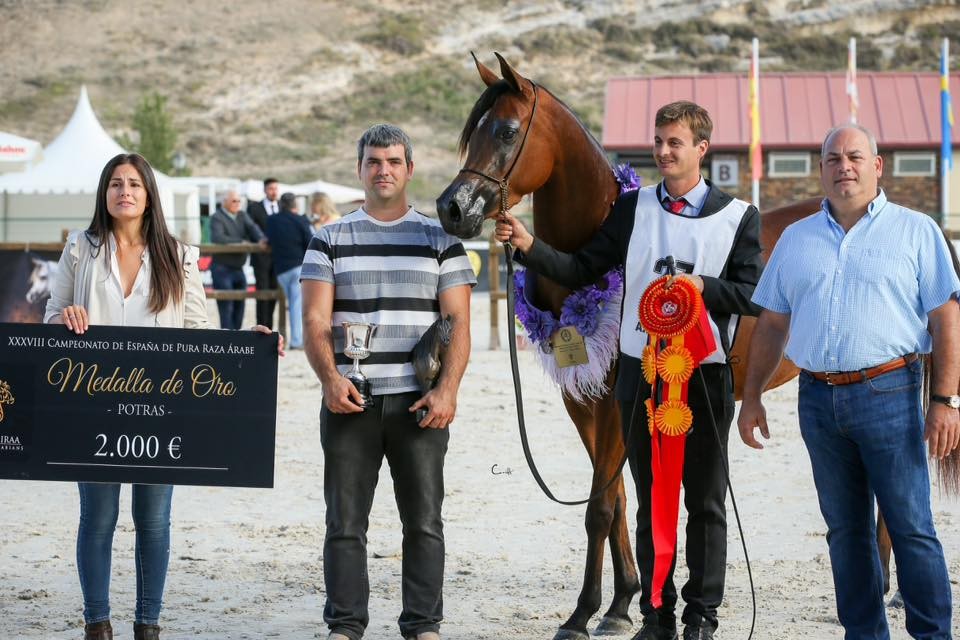 Entrevista a Asier Goñi Maya: La raza árabe es la más armónica que hay, a veces cuesta llegar a ellos, pero cuando llegas, te lo dan todo.
