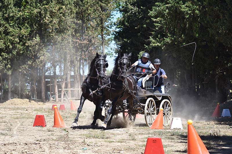 Tercera Fase del Campeonato Navarro de Enganches