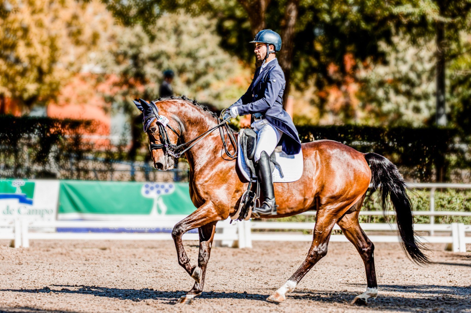 Presencia navarra en el Campeonato de Espa&ntilde;a de Doma de Caballos J&oacute;venes