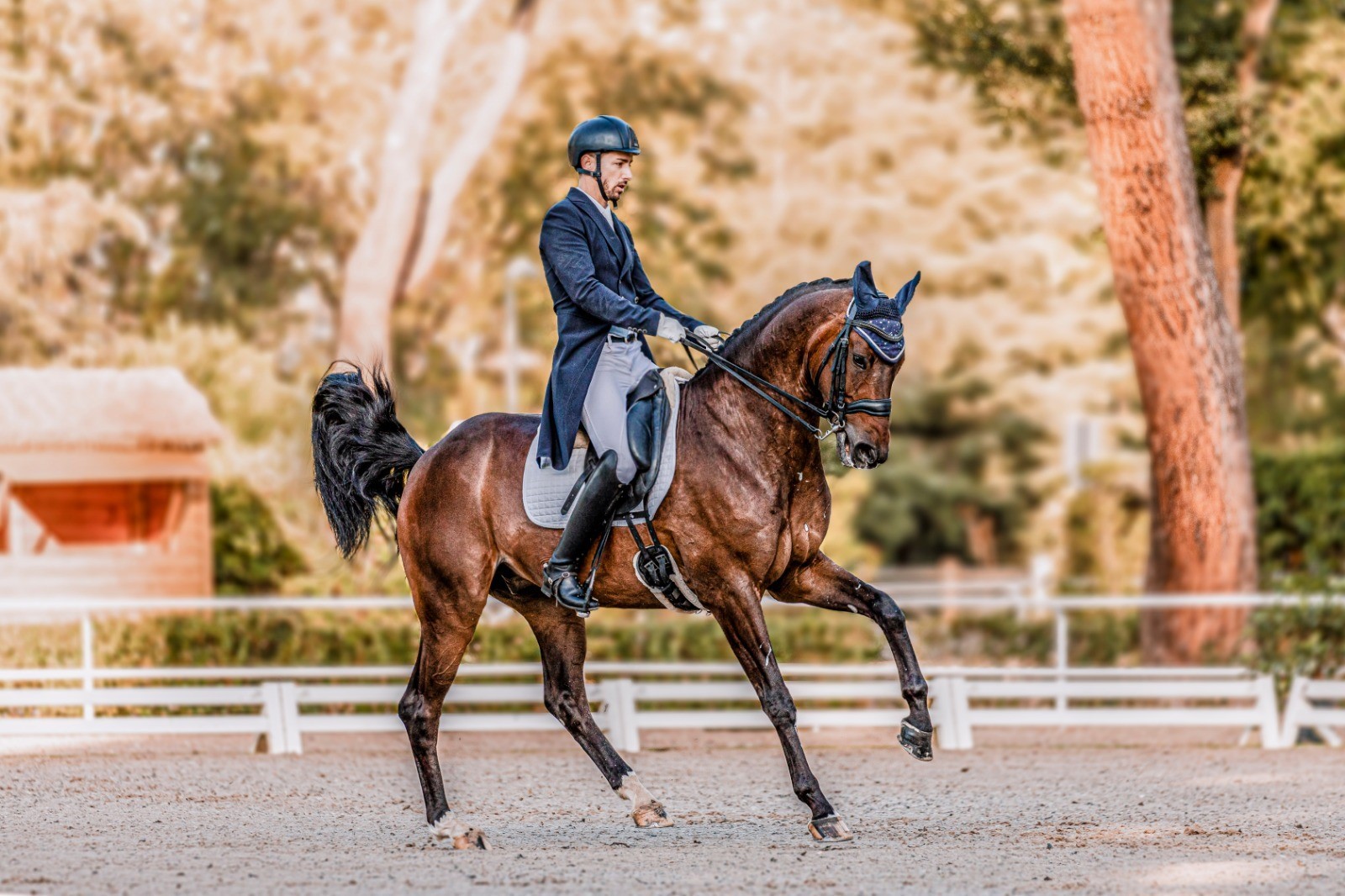 Presencia navarra en el Campeonato de España de Doma de Caballos Jóvenes