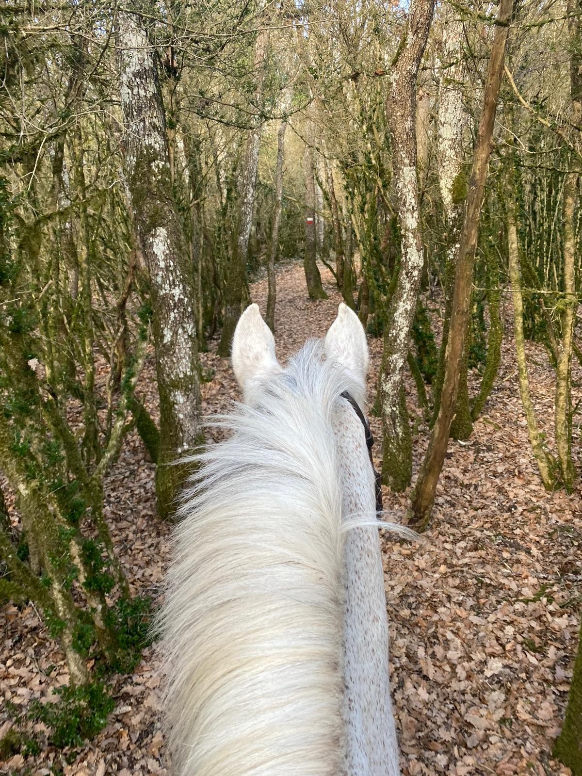 Nuevo clinic de TREC en Zolina